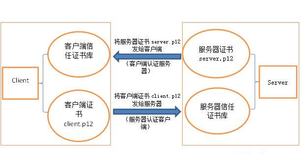 什么是SSL證書？它的作用是什么？一